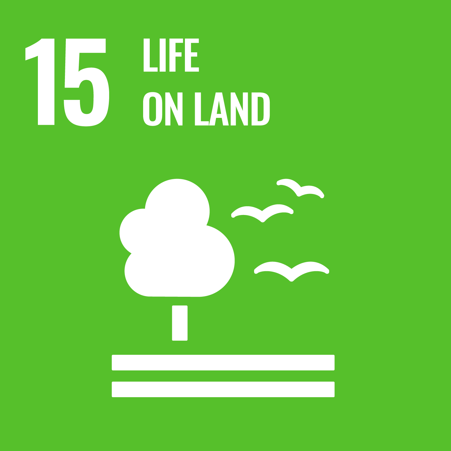 Life on Land SDG Graphic